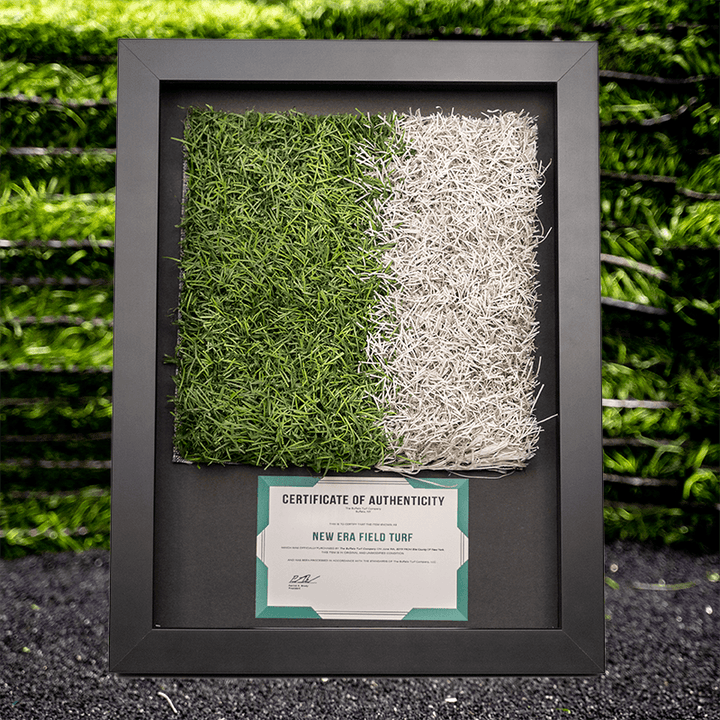 10" Field Marking - Shadow Box